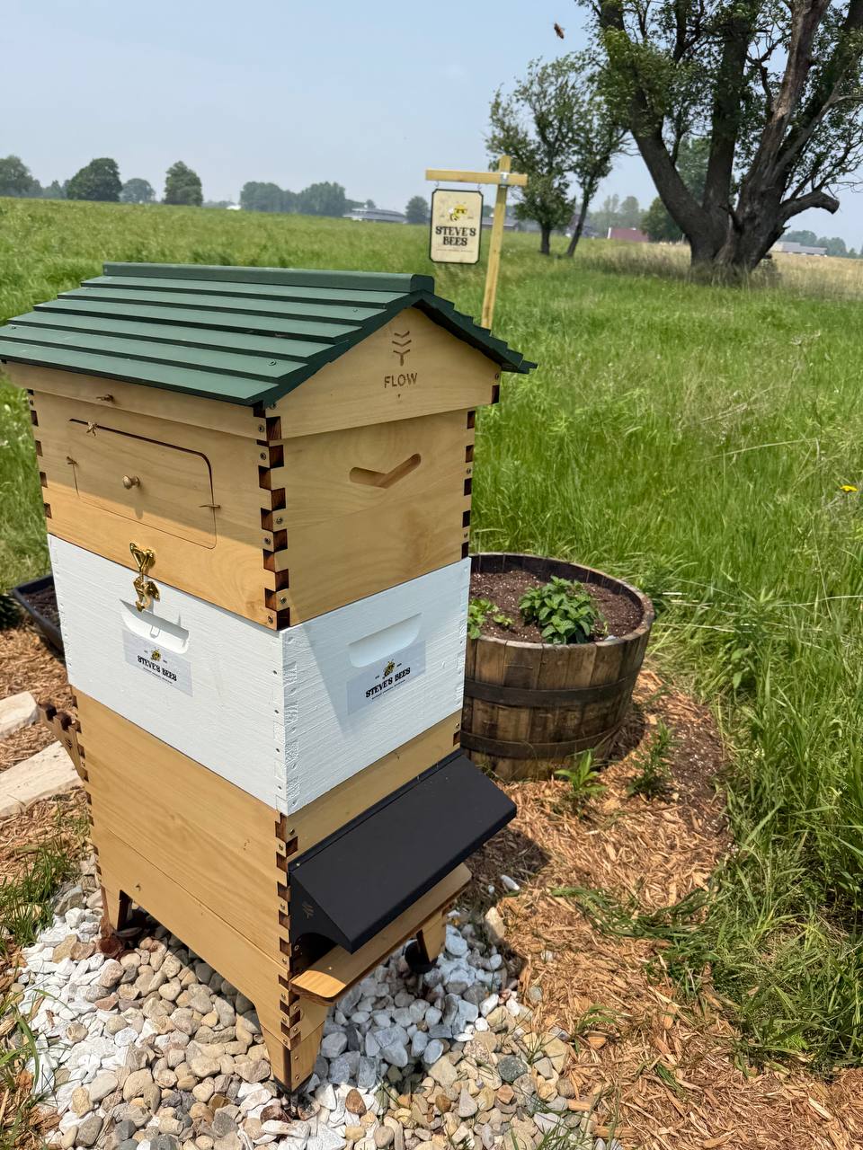 Flow Hive in Michigan meadow