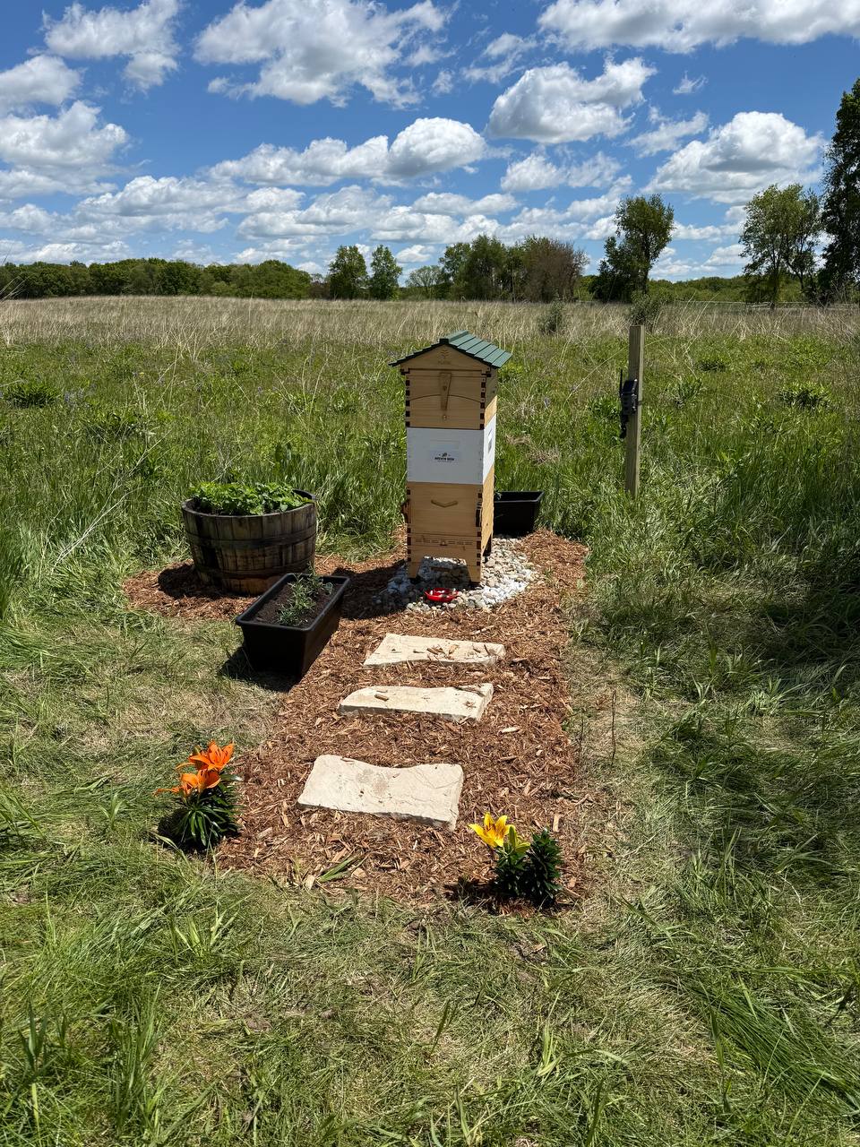 Hive with garden path and flowers