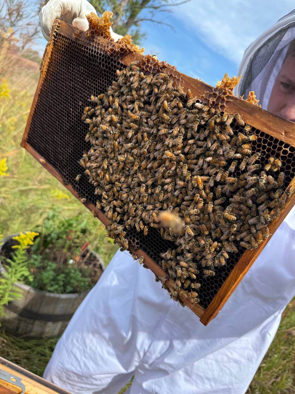 Inspecting a frame up close